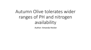 Autumn Olive tolerates wider ranges of PH and nitrogen availability