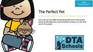 The Perfect Pet/Speech