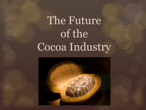 Future of cocoa