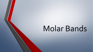 Molar Bands