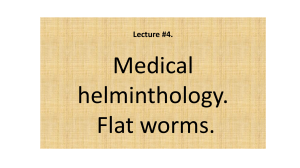 2 Parasitology 2. 2018 Flat worms