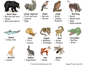 Venn diagram on carnivores, omnivores and herbivores (worksheet)