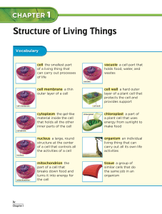 Chapter 1 Lesson 1 Structure of Living Things