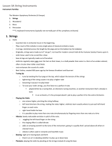 Lesson 3a String Instruments