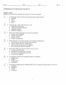cell division  growth practice test key
