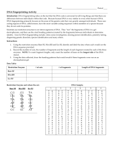 DNA Fingerprinting Activity