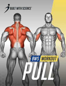 Built With Science Pull Workout PDF