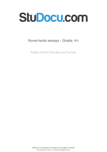 novel-tsotsi-essays-grade-a (1)