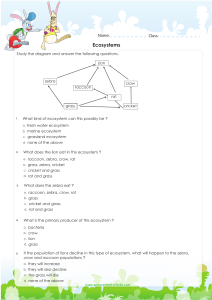 ecosystem-and-relationships