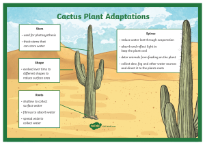 ui2-sc-31-cactus-plant-adaptation-display-poster