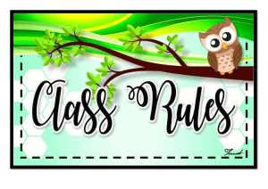 9 Class Rules