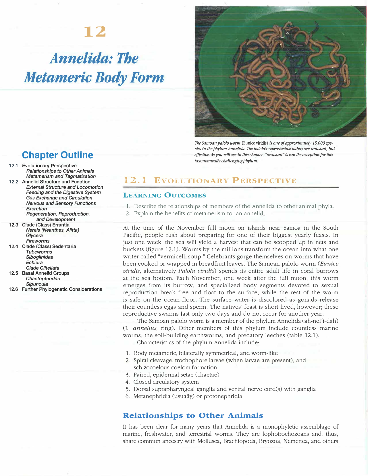 12 Annelida the Metameric Body Form