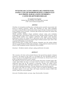 Investigasi-Cacing-Dirofilaria-Immitis-pada-Anjing-yang-di-Nekropsi-di-Kota-Gorontalo-dan-Profil-Darah-Anjing-yang-Terinfeksi-Canine-Heartworm-Disease
