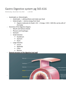 Gastro Digestive system pg 565-616