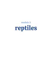 MODULE 3- REPTILES