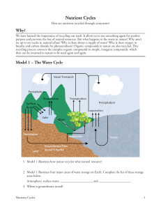 22 nutrient cycles-s