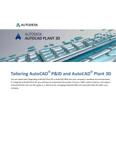 Tailoring AutoCAD P and ID and AutoCAD P