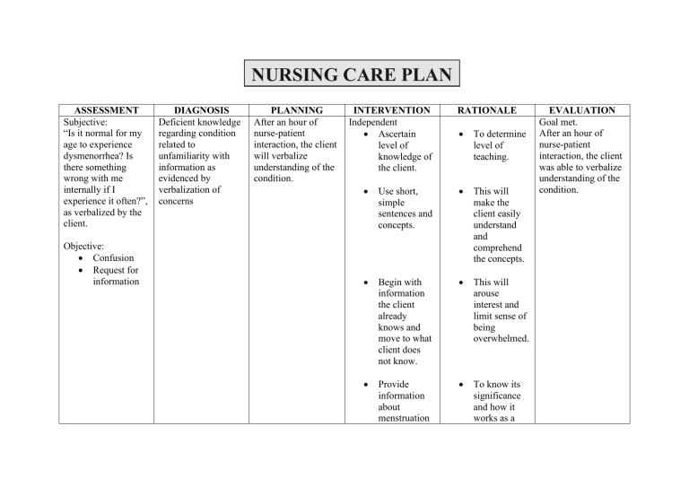 nursing care business plan