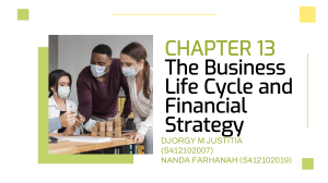 business life cycle and financial strategy (CASE)