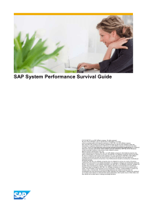 sap-system-performance-analysis-survival-guide