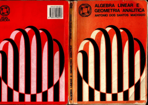 Algebra Linear e Geometria Analitica Ant