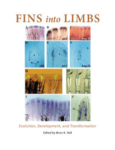 Fins into Limbs Evolution, Development, and Transformation (Brian K. Hall) (z-lib.org)