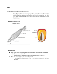 Biology(page55)