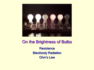 07 bulbs