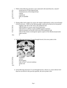 Neck Anatomy Exam Questions and Answers