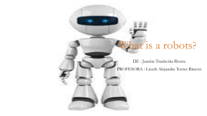 What is a robots
