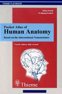 Pocket Atlas Of Human Anatomy (2000) 4Ed Bm Ocr 7[1].0-2.6 Lotb