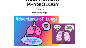 Respiratory physiology lecture