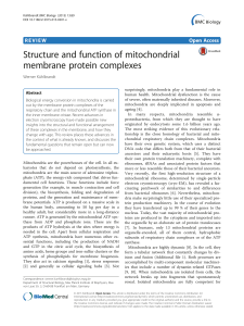 Structure and function of mitochondrial membrane protein comolexes