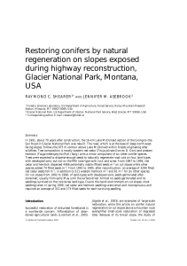 Restoring Conifers Glacier National Park