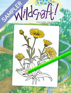 Wildcraft-Coloring-Book-Sampler