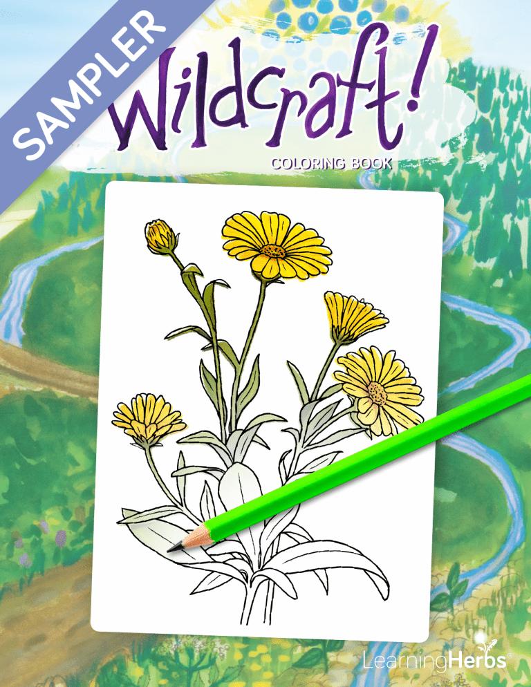 Wildcraft-Coloring-Book-Sampler