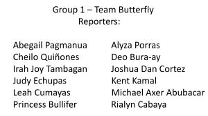 PC Reporting Group1 Butterfly