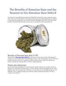 The Benefits of Hawaiian Haze and the Reasons to Use Hawaiian Haze Delta 8