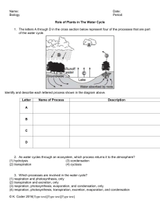 the water cycle homework answers