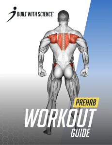 BWS - Prehab Workout