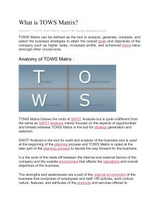 What is TOWS Matrix