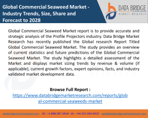 Commercial Seaweed Market
