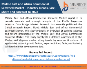 Middle East and Africa Commercial Seaweed Market