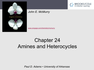 chapter24 amines