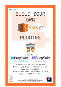 Build your onw BurpSuite - 1658940054804