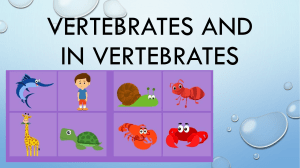 Vertebrates and in vertebrates
