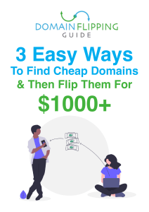 domain-flipping-guide-ebook