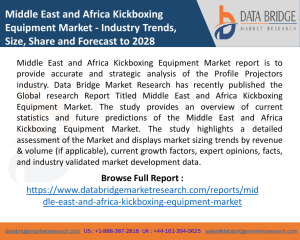 Middle East and Africa Kickboxing Equipment Market