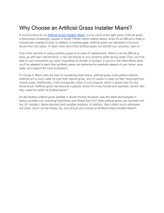 Why Choose an Artificial Grass Installer Miami