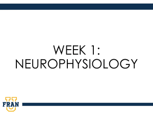 Ex. 16 - Neurophysiology